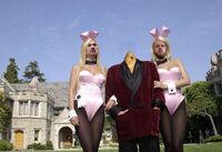 Erstellt von Gunnar Voss @Kokolegis