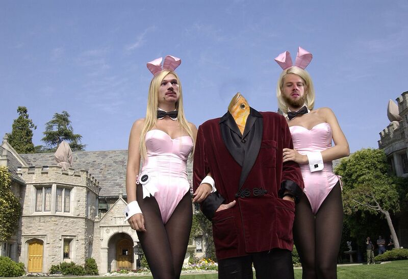 Datei:Vk bunny kokolegis.jpg