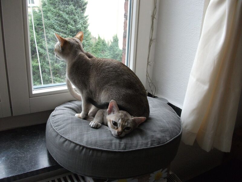 Datei:981949 10151843372664659 1790169372 o.jpg