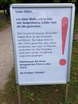 Schwansterben durch das Pufo.jpg