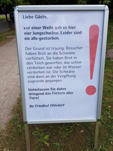 Datei:Schwansterben durch das Pufo.jpg