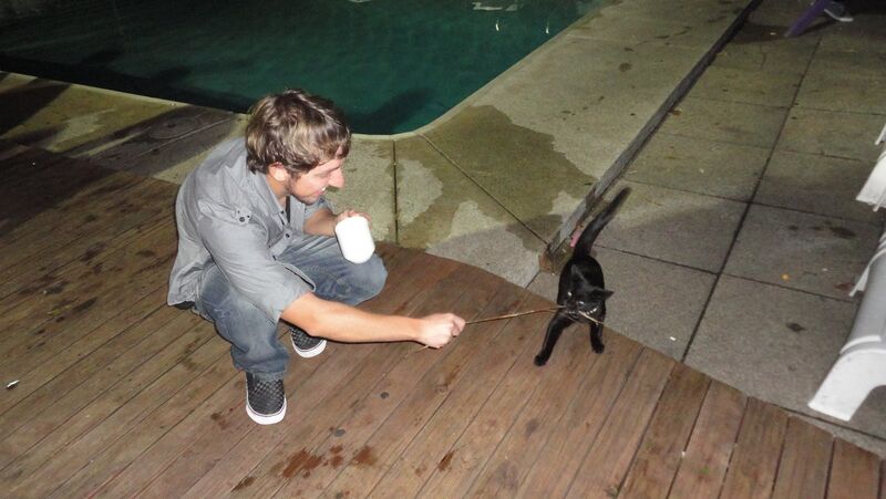 Datei:Pussy Magnet.JPG