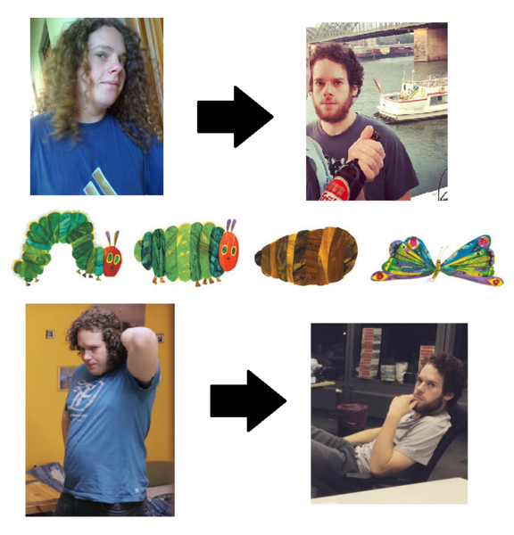 Datei:F transformation.png